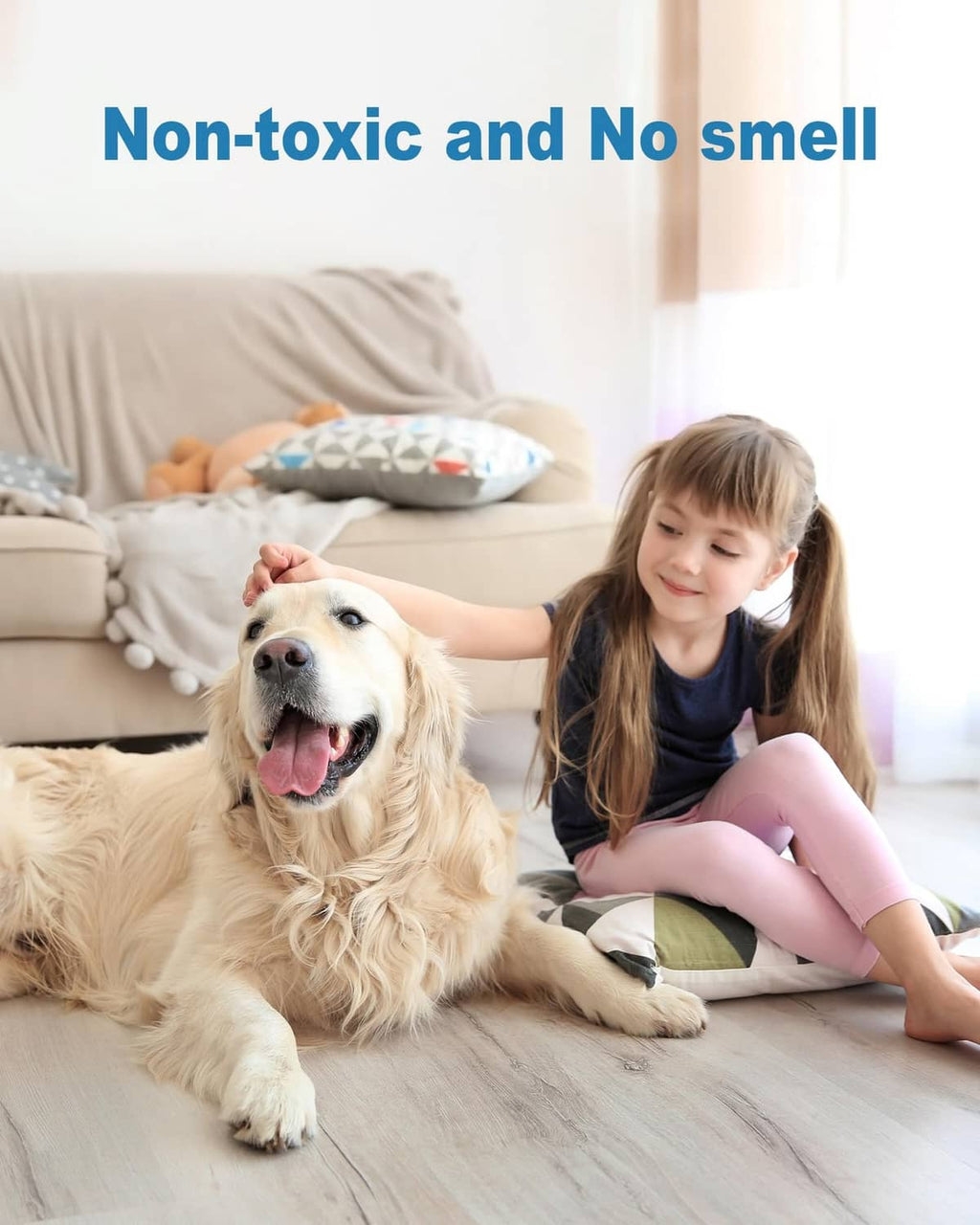 Non-toxic flying insect trap refill glue cards, no-smell, family with pet at home