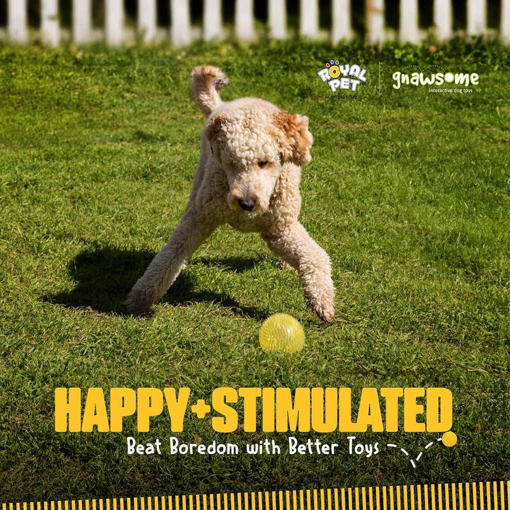 Extra-large spiky squeaker dog ball, yellow textured toy for teeth cleaning