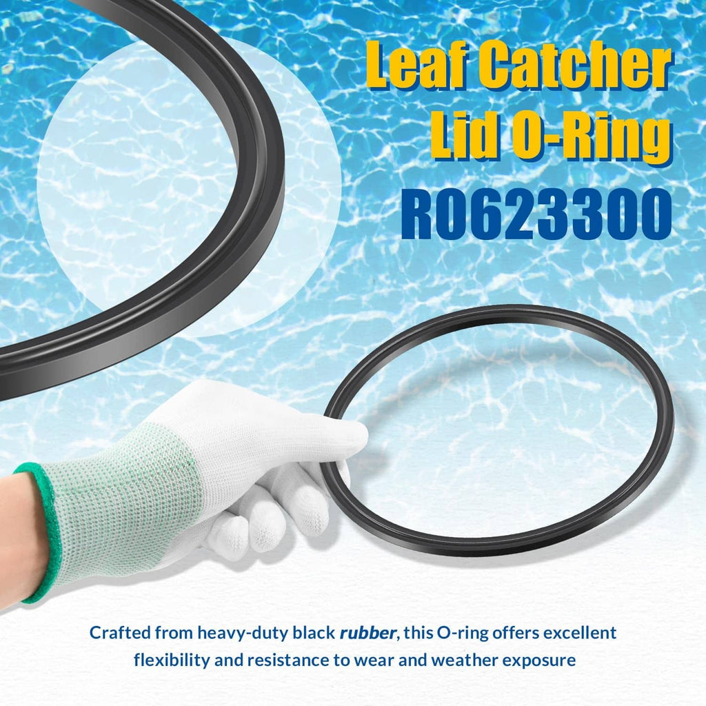 Black rubber lid O-ring seal pair held in gloved hands