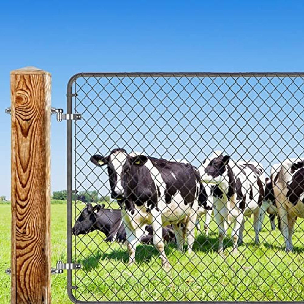 Stainless gate hinge hardware on chain-link fence post with cattle in enclosure