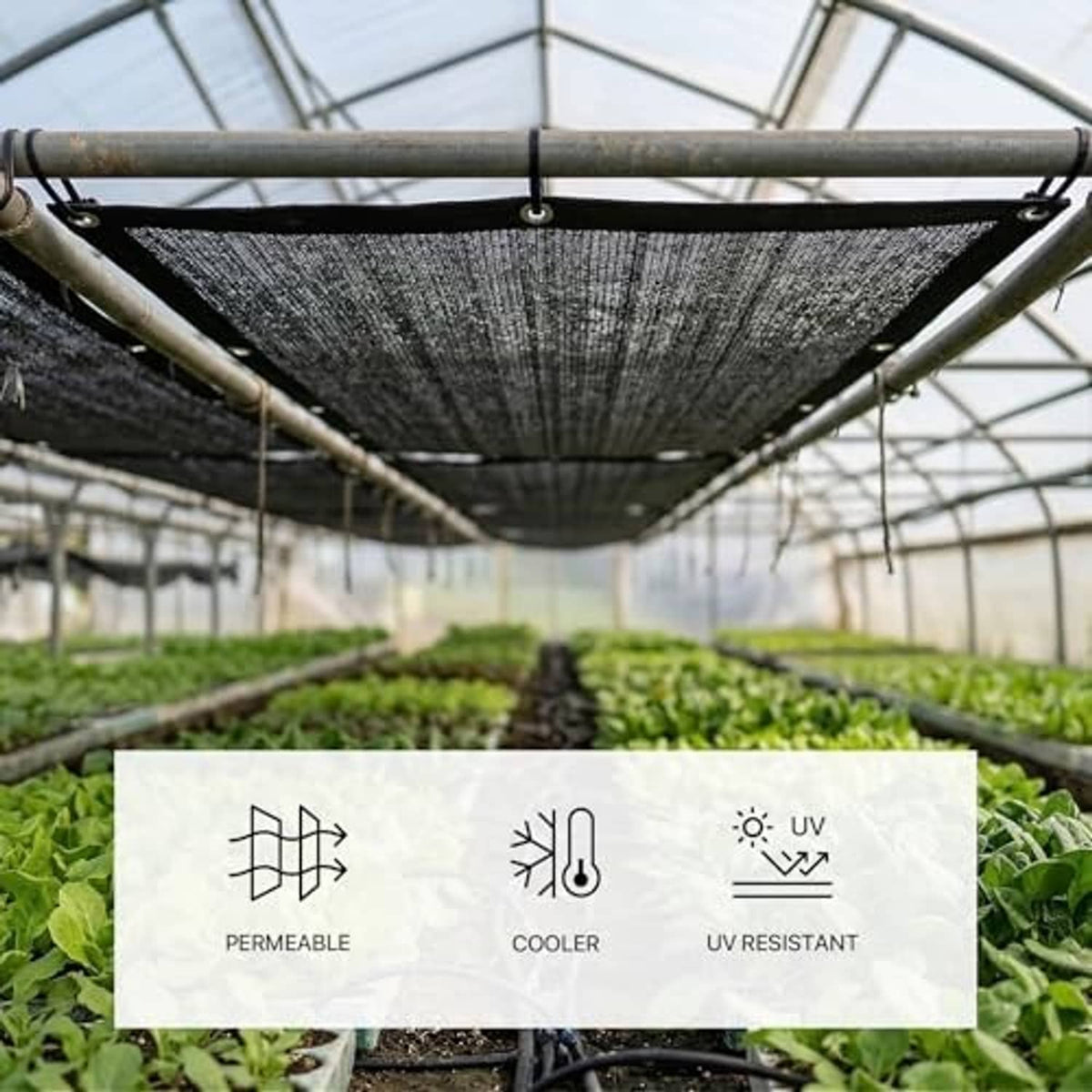 Black shade cloth installed over greenhouse plants with grommeted perimeter