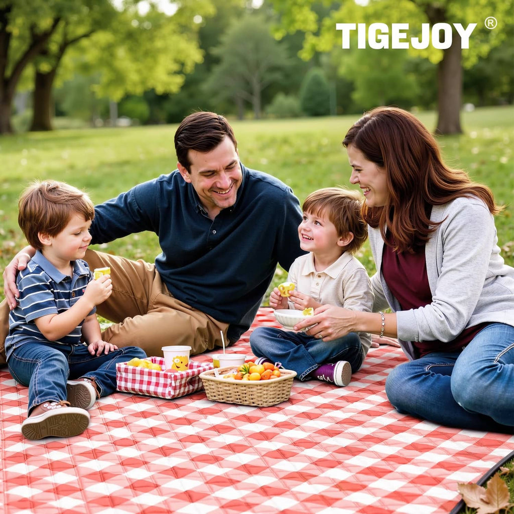 Red-and-white gingham picnic blanket on the ground during family outdoor meal