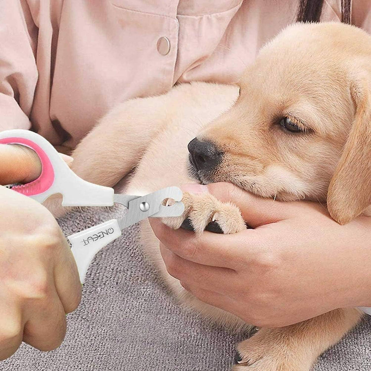Pet nail clipper trimming a dog paw, with white handle and pink finger loops