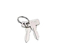 Silver metal replacement keys on keyring with two key blades