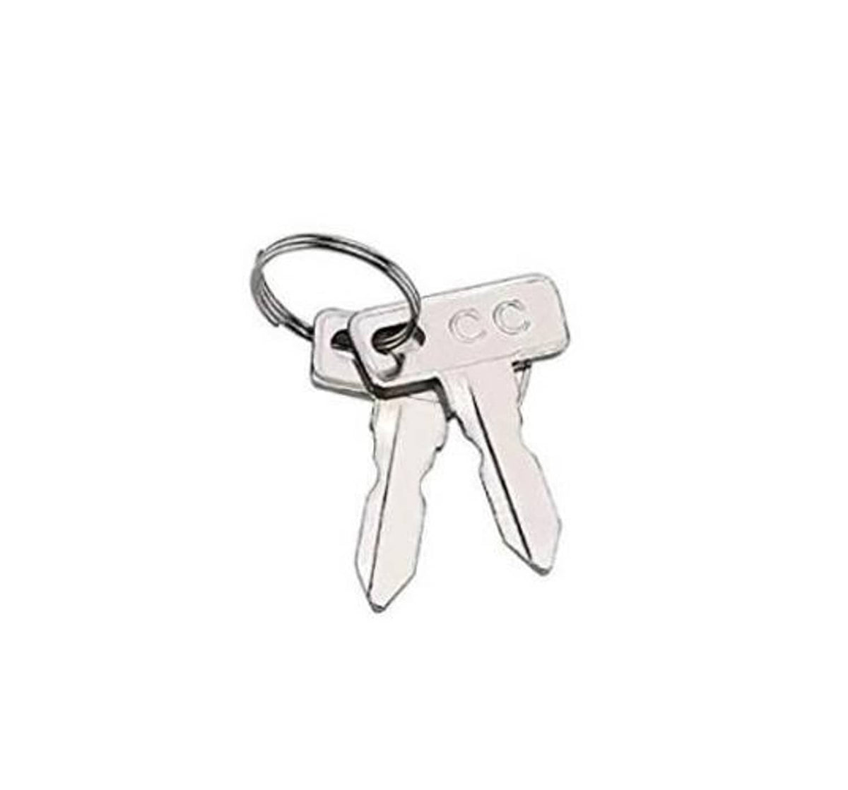 Silver metal replacement keys on keyring with two key blades