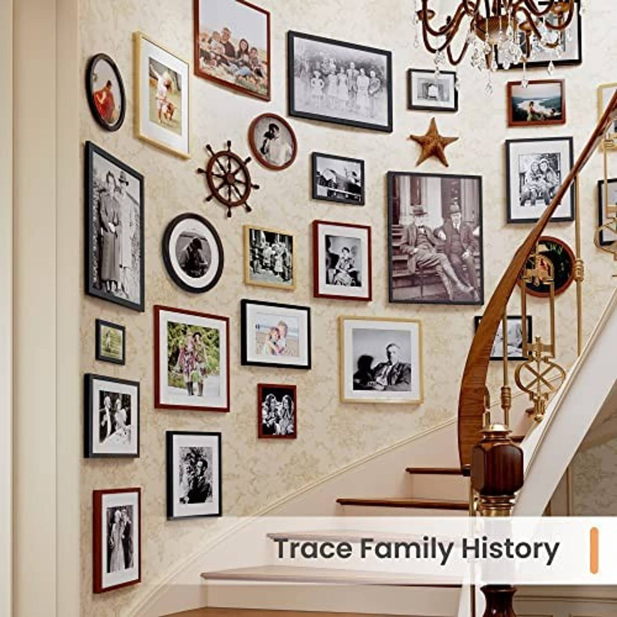 Gold-bordered picture frames on a wall in a family photo gallery display