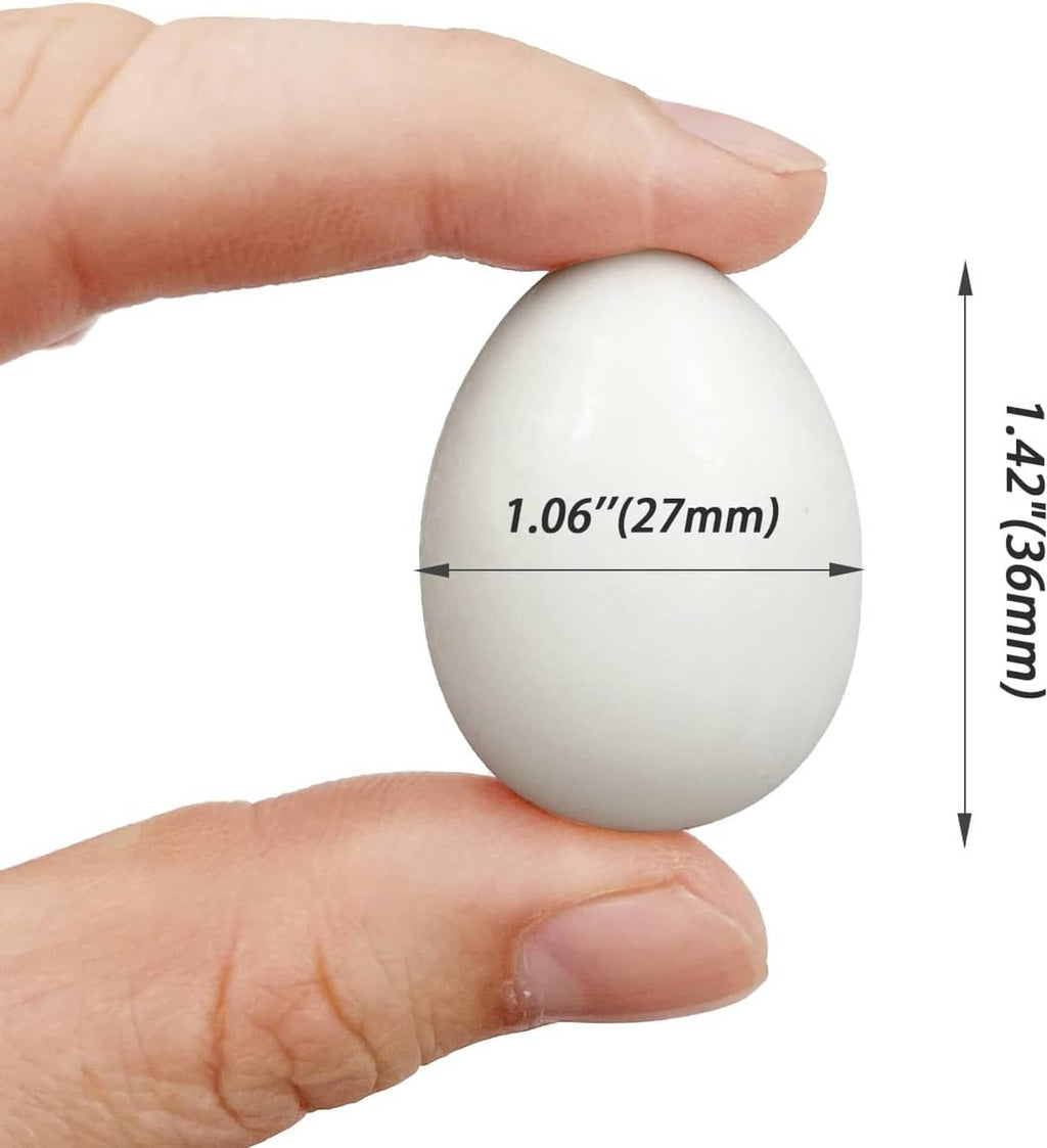 White plastic fake pigeon egg size shown: 1.06 in (27mm) x 1.14 in (36mm)