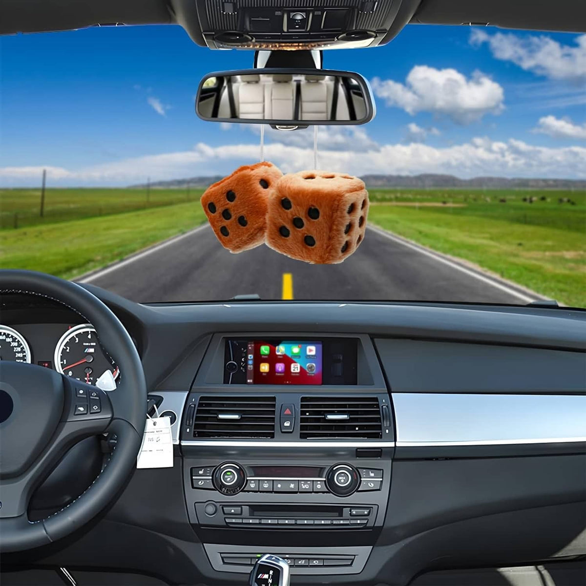 Pair of brown fuzzy plush dice with black dot faces hanging from rearview