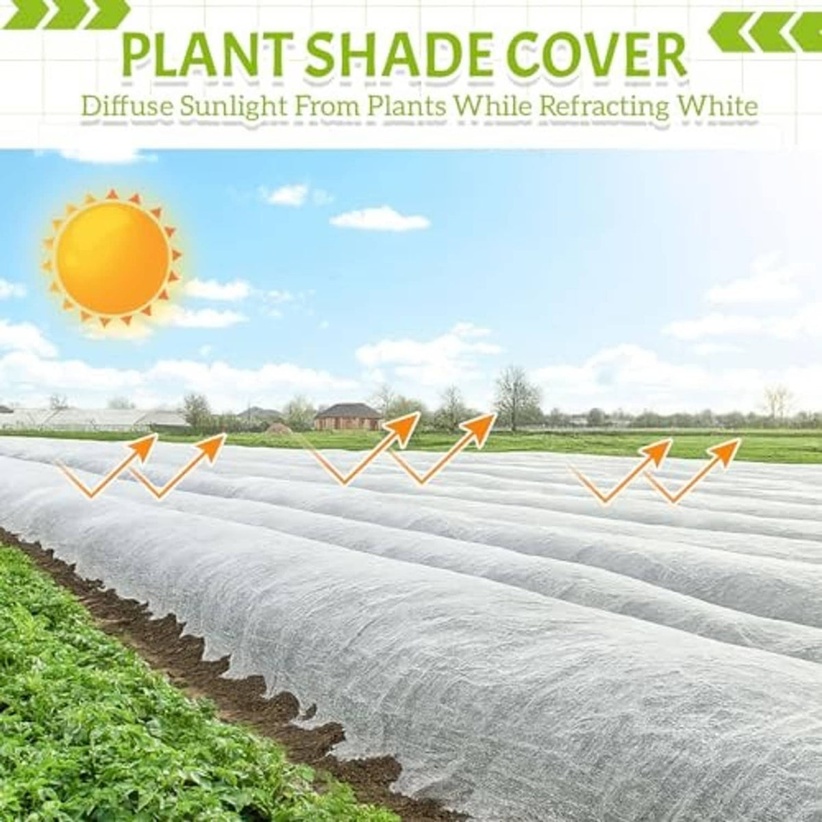 White shade cloth covering long rows of plants, lightweight protective fabric