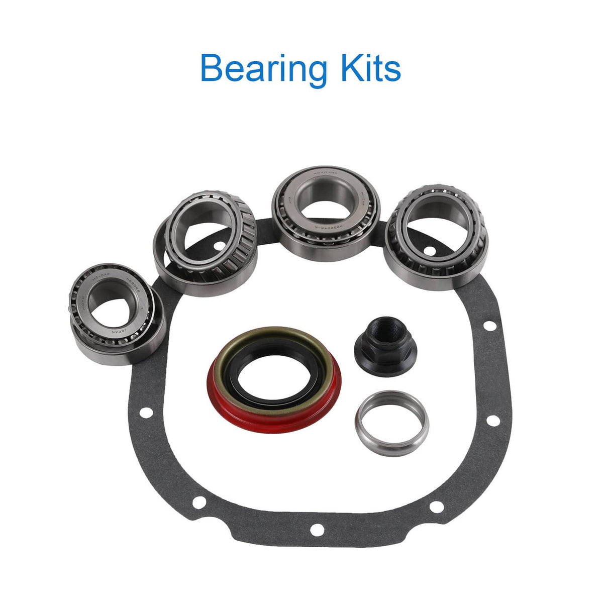 Differential bearing kits with multiple bearings and pinion seals on a gasket