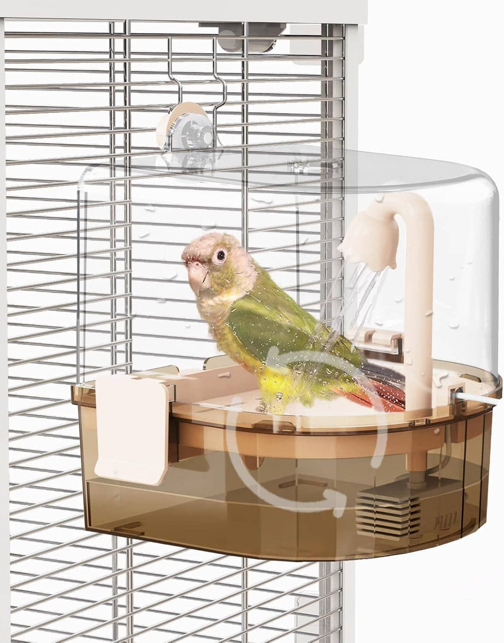 Automatic parakeet bird bath with pump, clear water tub and spray nozzle