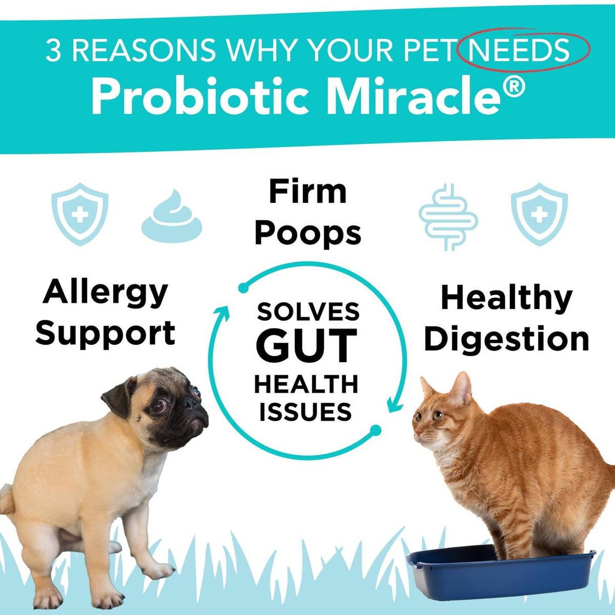 Pet probiotic product label panel showing benefits like gut health, firm poops, digestion