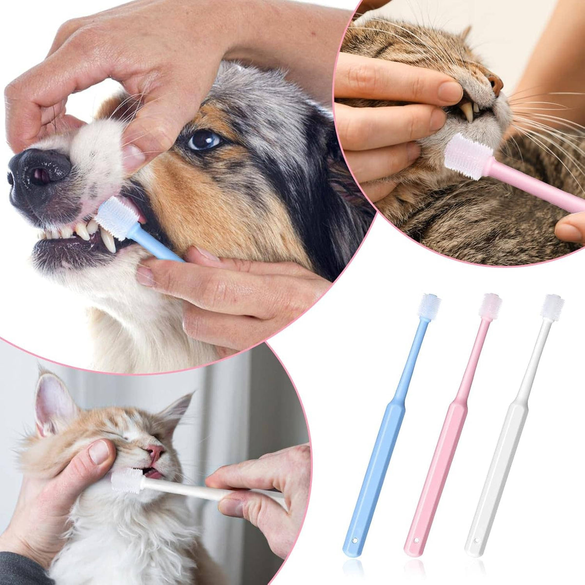 Soft silicone pet toothbrush set with dog and cat, using pink and blue brushes