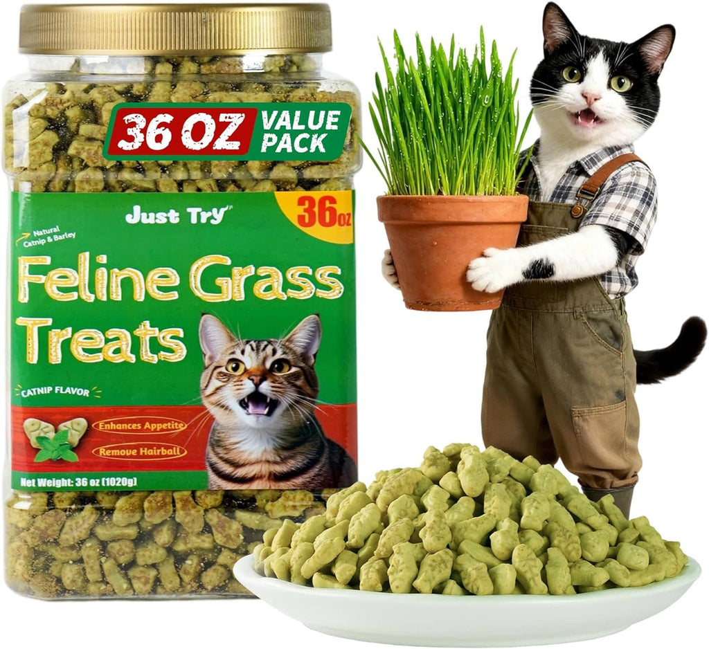 Cat treat jar, 36 oz value pack, with bowl of green grass treats