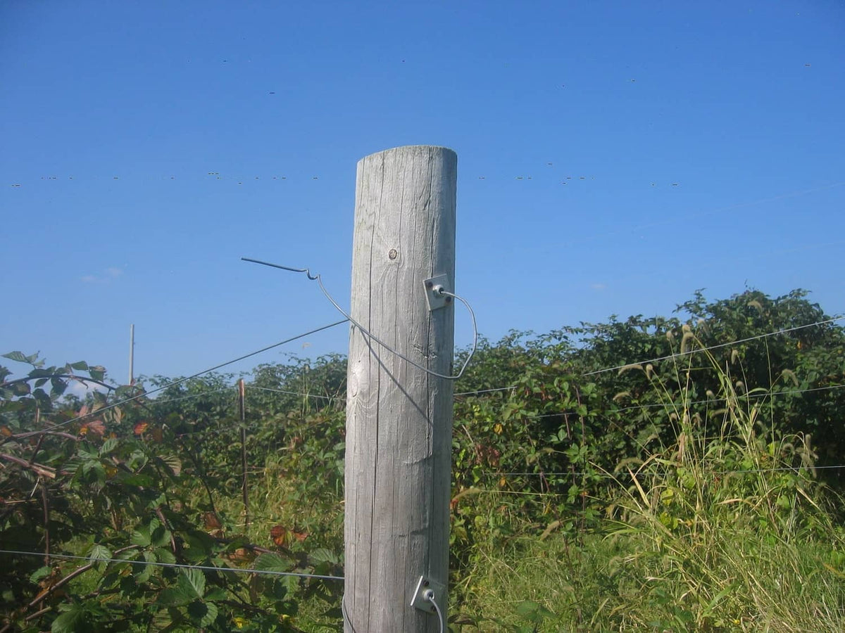 Wire anchor vise mounted to wooden fence post, with fence wire attached