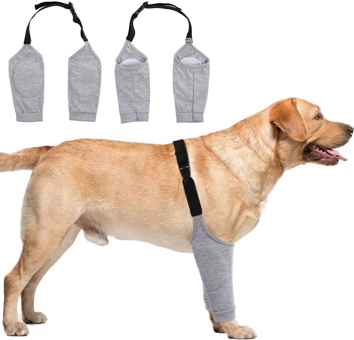 Light grey dog recovery suit with front-leg sleeves and black back strap on dog