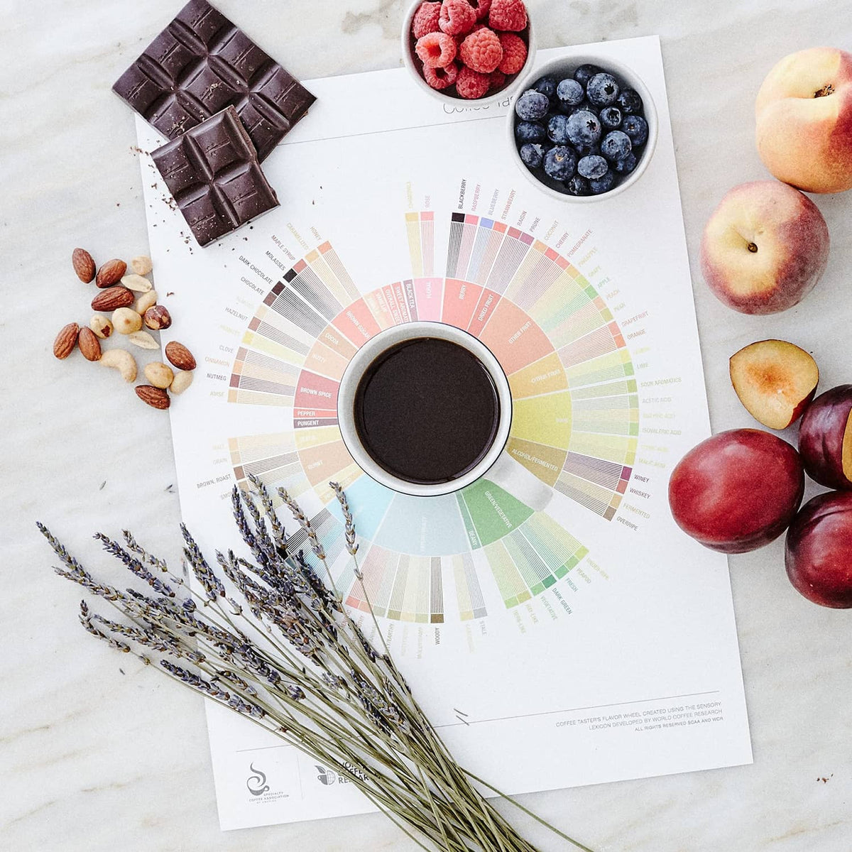 Brewed tea in a cup with fruit, chocolate, nuts, and herbs on papers