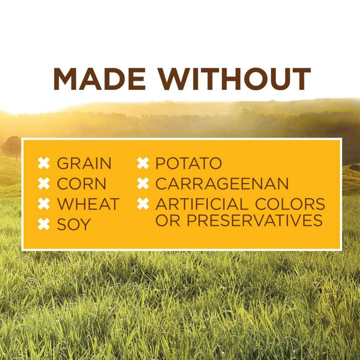 No grain, potato, corn, wheat, soy, carrageenan, artificial colors, preservatives label