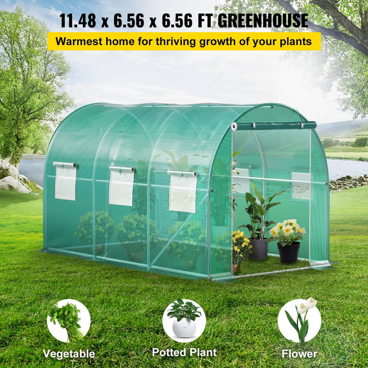 Greenhouse tunnel with clear green cover and zippered side windows, full front view