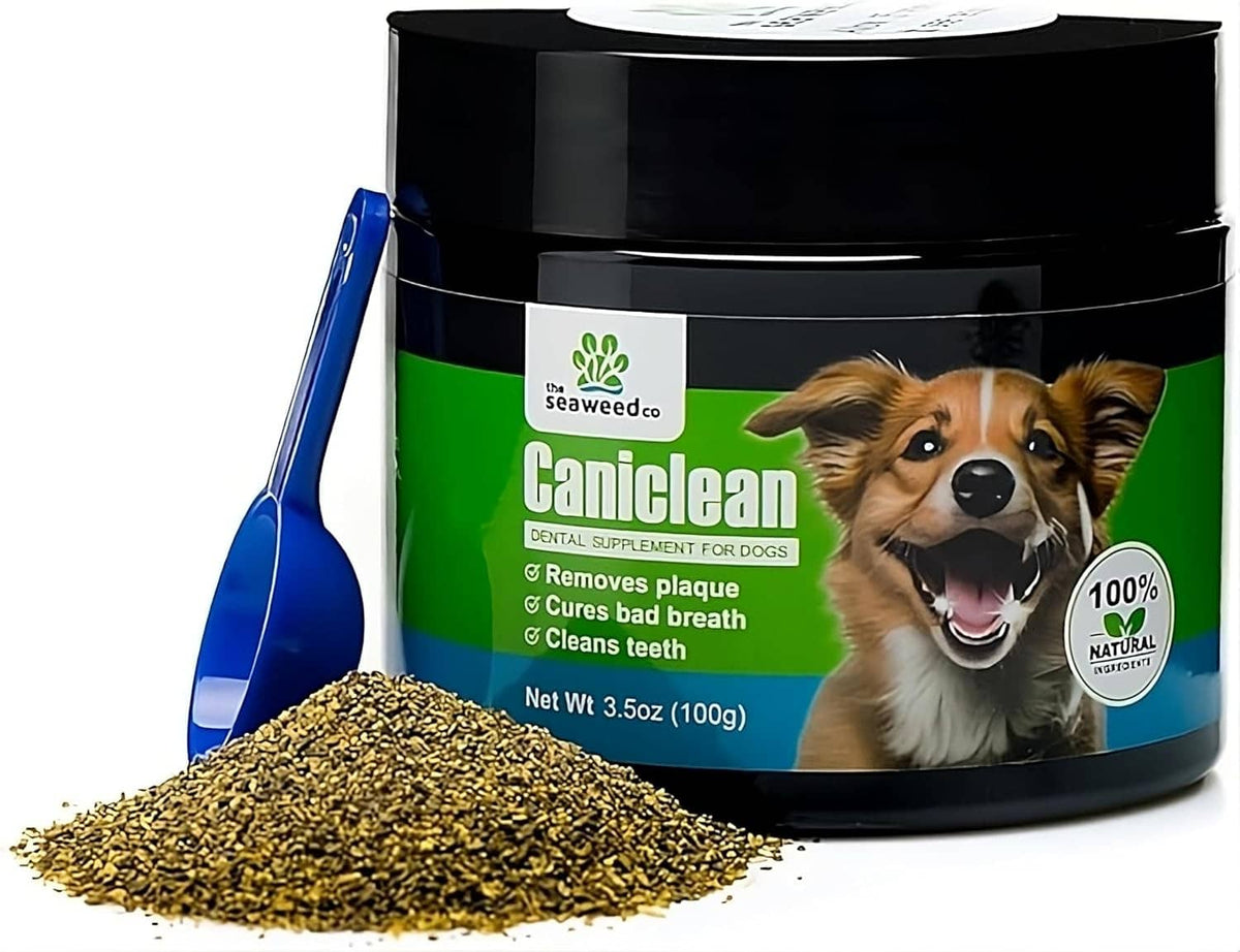 Caniclean dental seaweed dog jar with blue scoop and loose granules