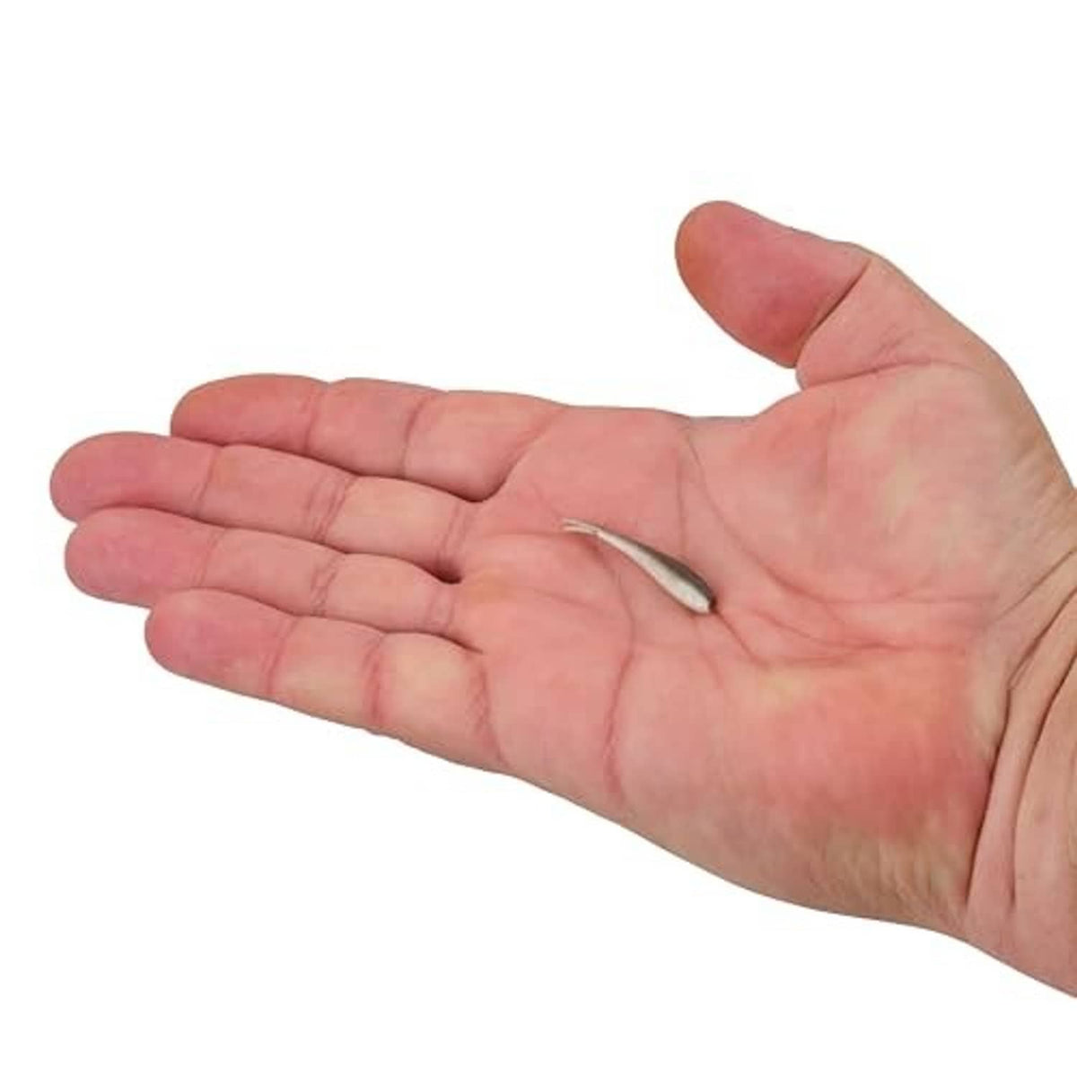 Soft plastic smelt bait on a small hook held in an open hand