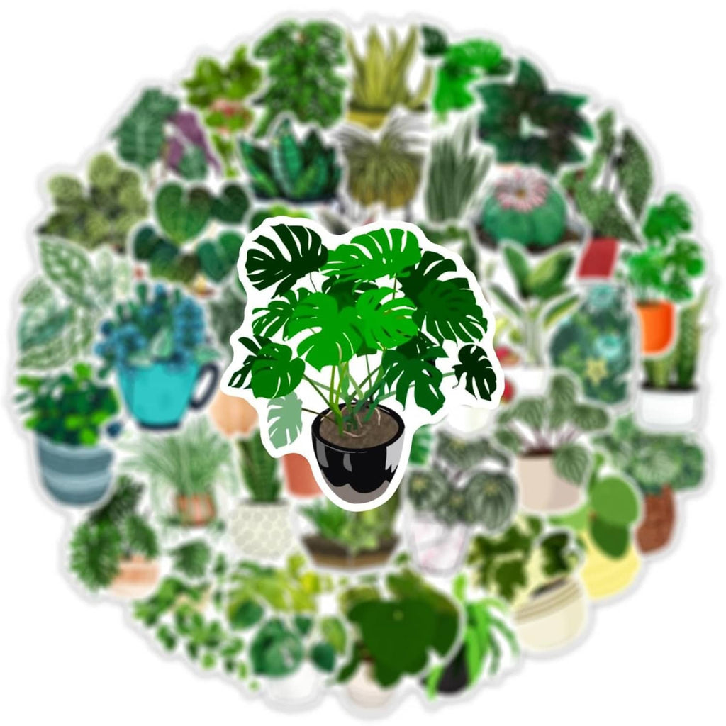 Round sticker set with cactus in a black pot, surrounded by green plant decals
