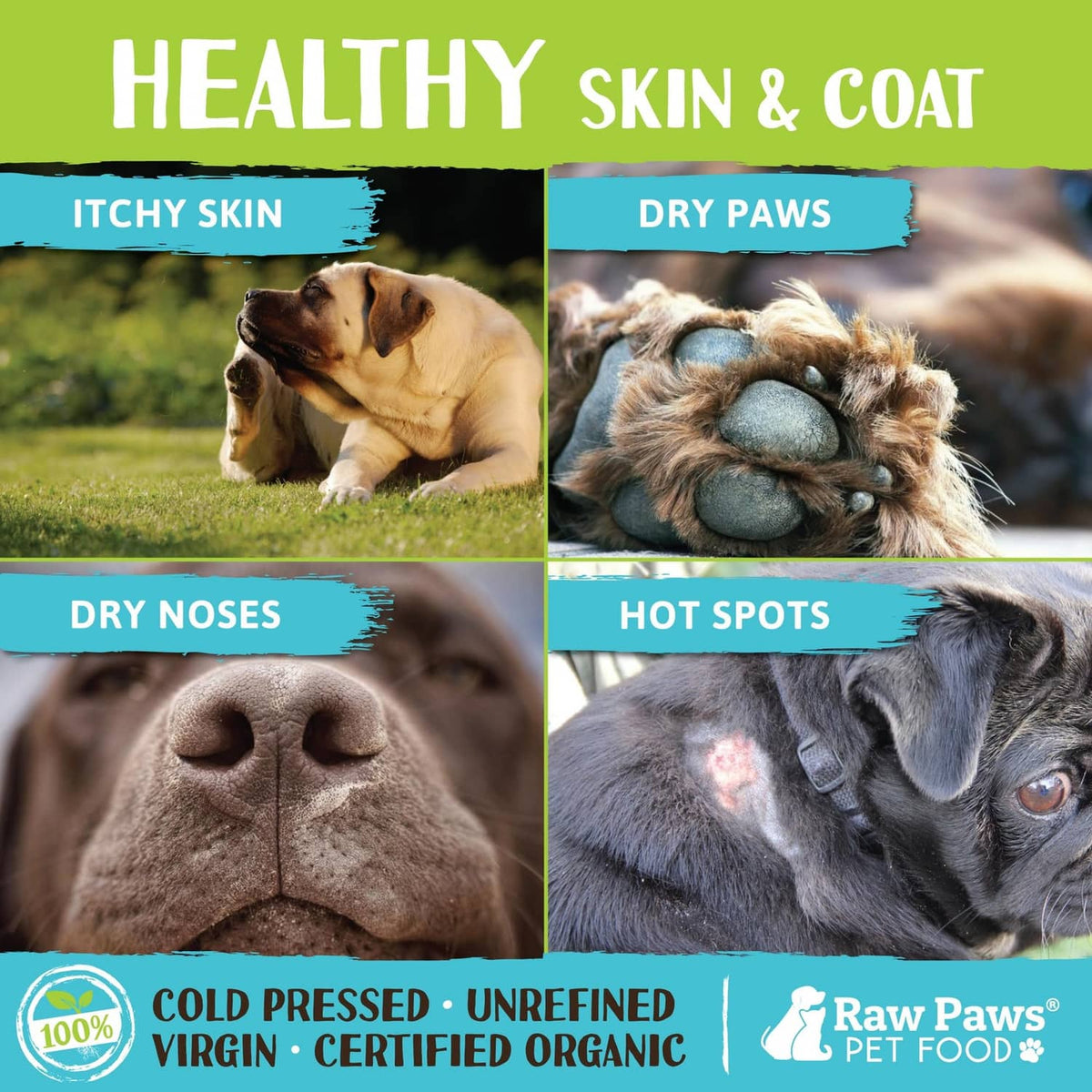 Pet coconut oil skin & coat health infographic with dog and cat photos
