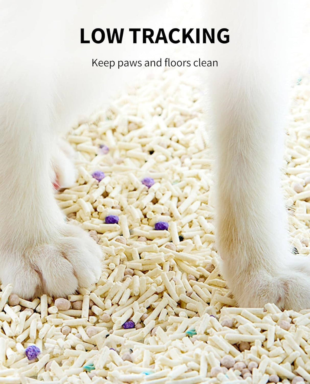 Cat paws on light beige cat litter with small purple beads