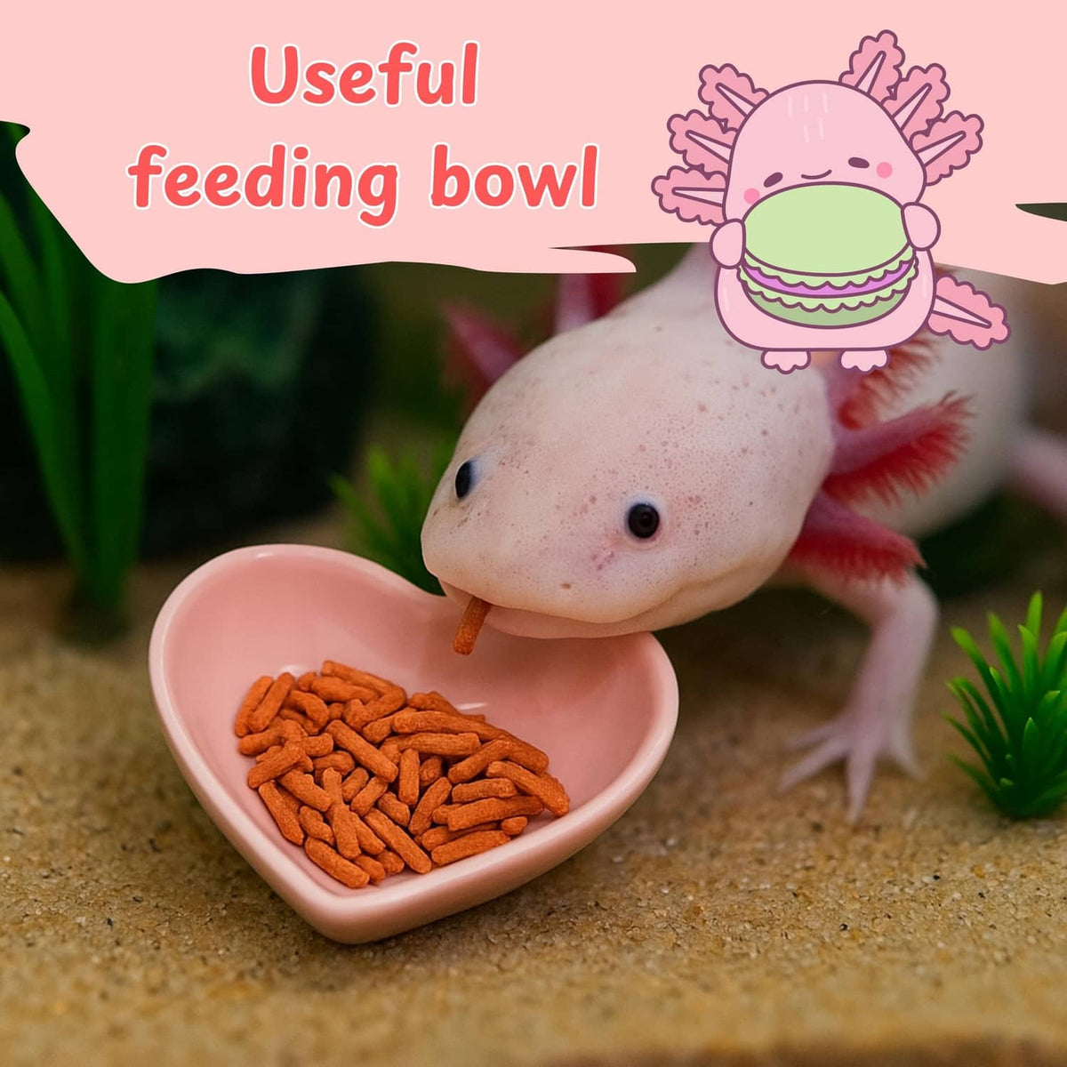 Pink heart-shaped ceramic feeding dish for aquariums