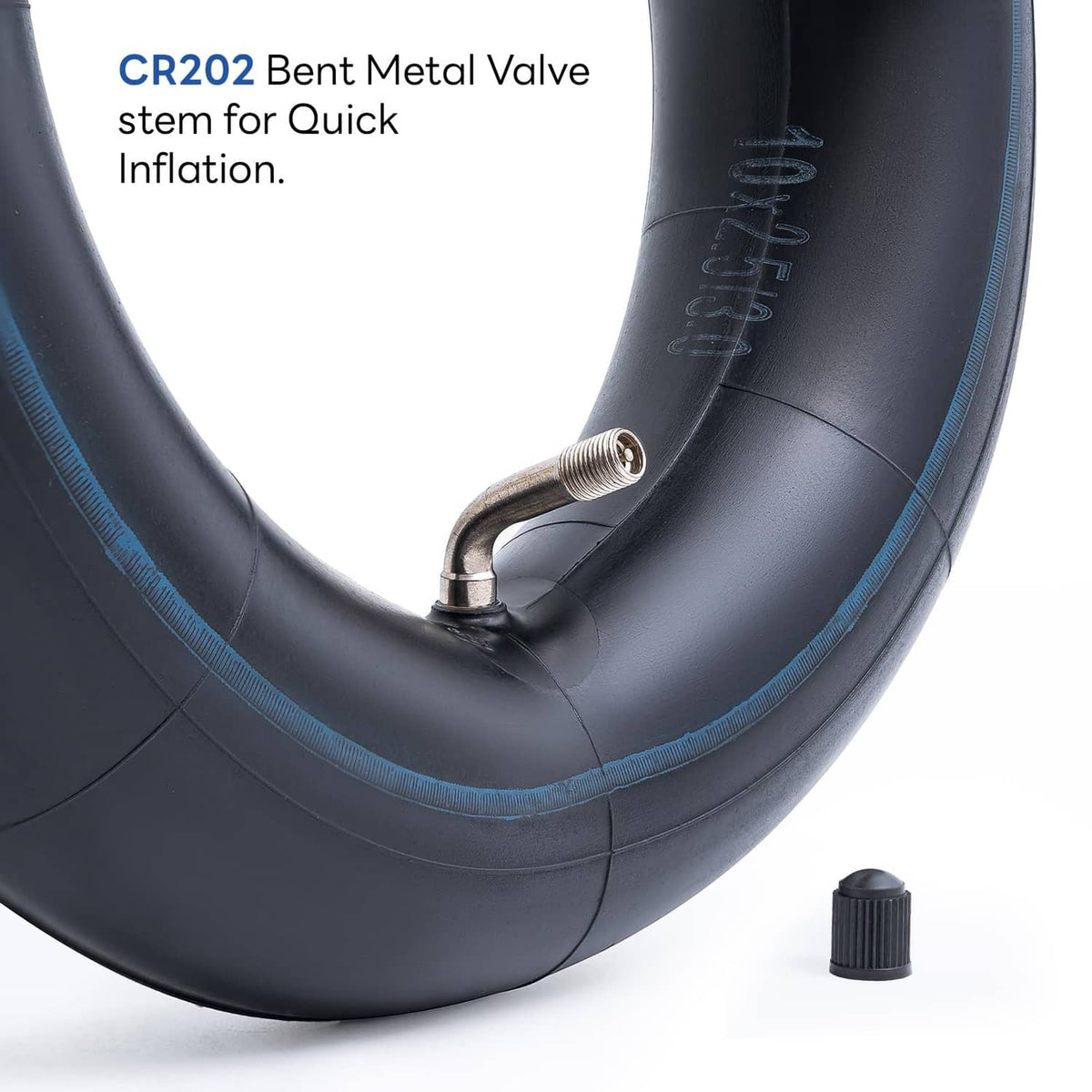 Black inner tube valve stem with cap and blue rim stripe, close-up detail