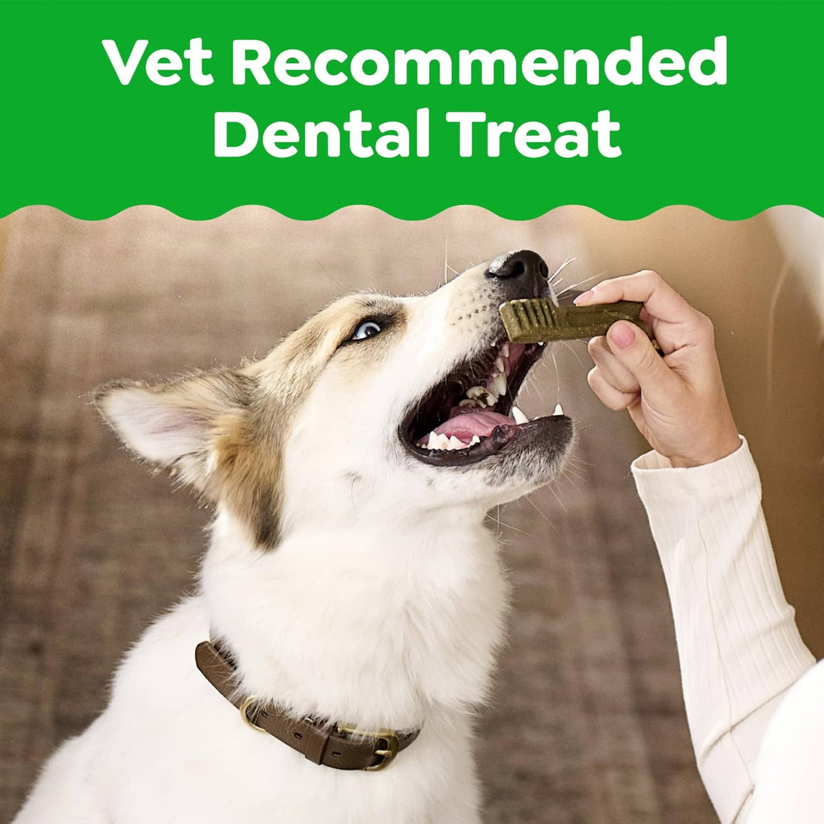 Dog chewing a green dental treat from a hand, vet recommended
