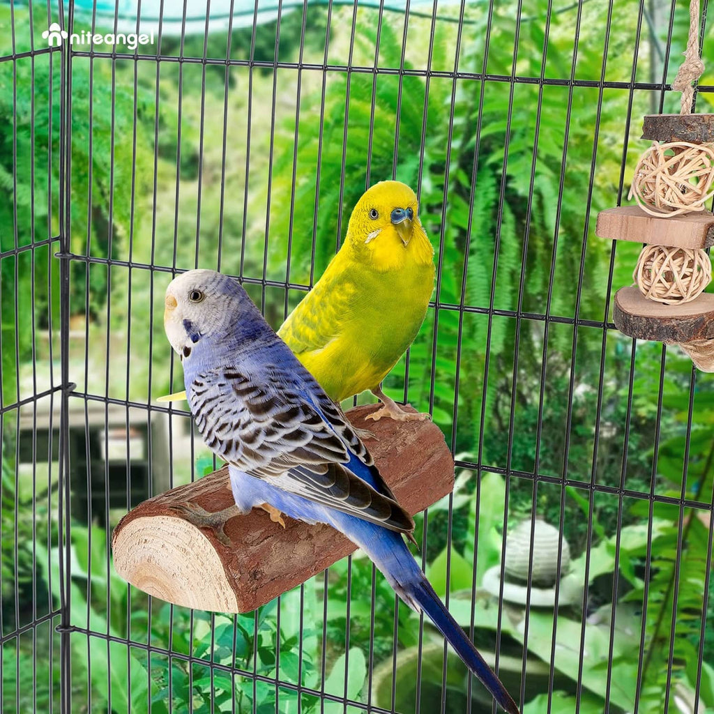 Wooden bird perch platform in cage, with two parrots perched on it