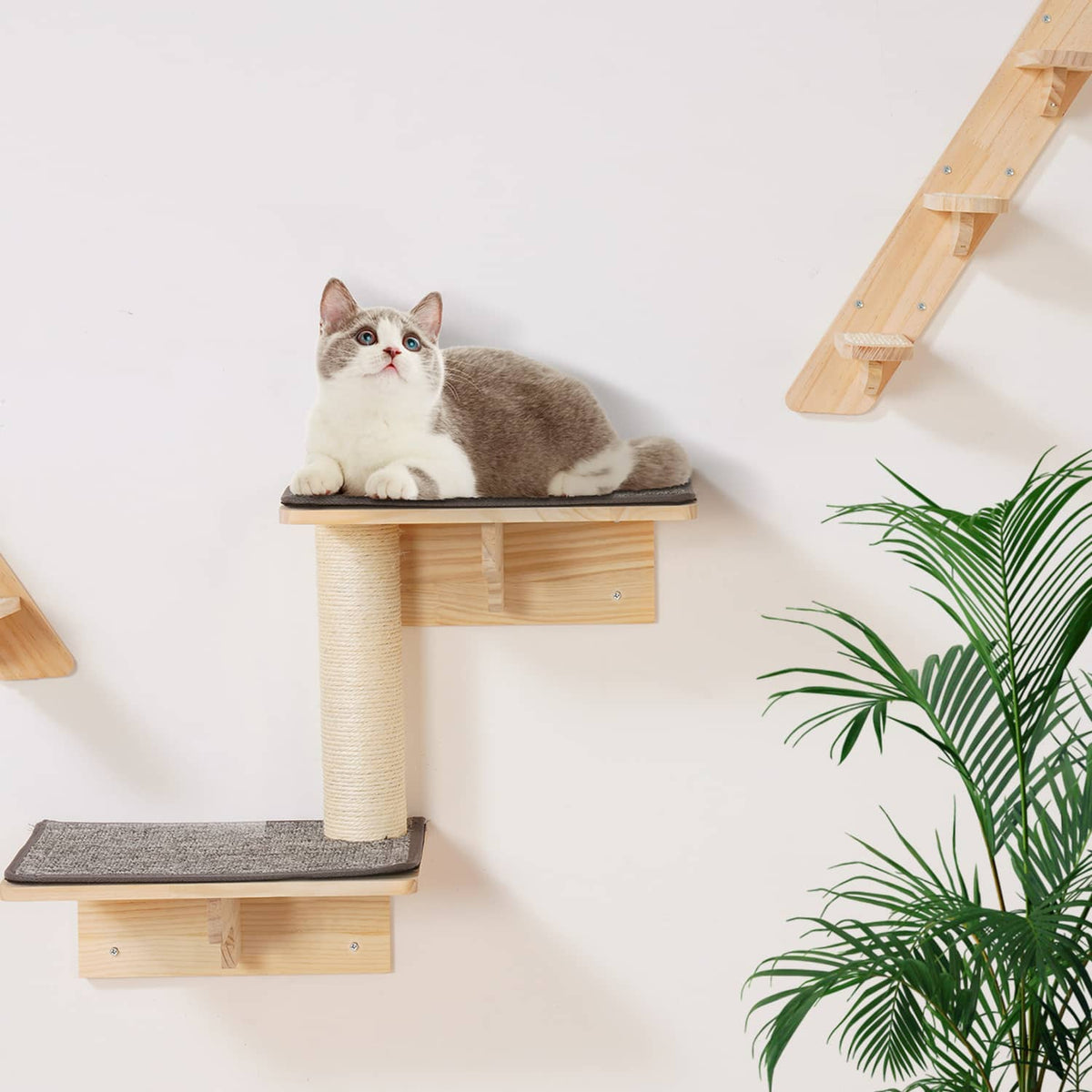 Wall-mounted cat climbing shelf with cat lying on gray cushioned top ledge and sisal post