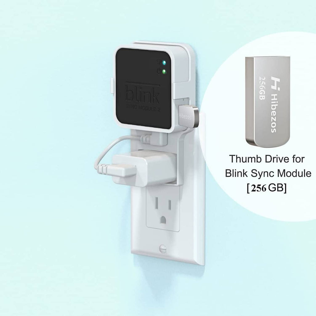 White Blink Sync Module 2 outlet mount with 256GB USB thumb drive