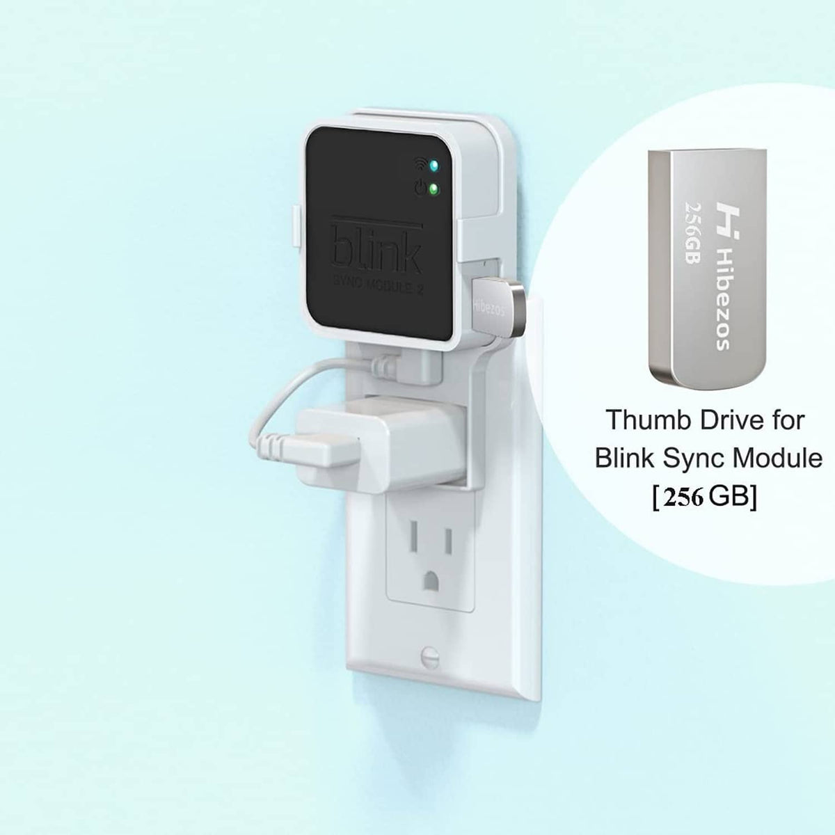 White Blink Sync Module 2 outlet mount with 256GB USB thumb drive