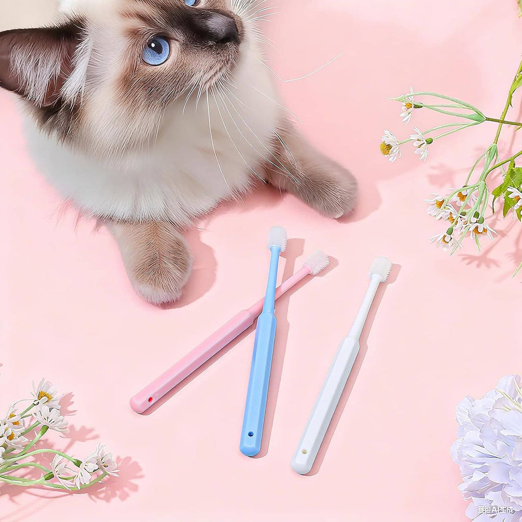 Three pet silicone toothbrushes in blue, pink, and white; cat nearby