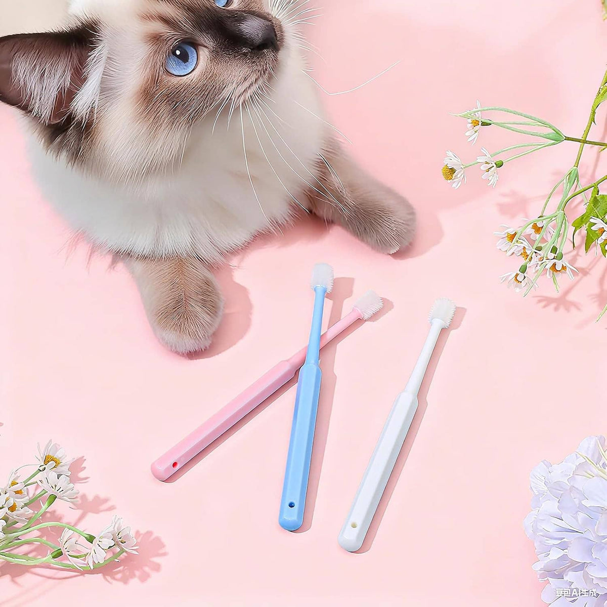 Three pet silicone toothbrushes in blue, pink, and white; cat nearby