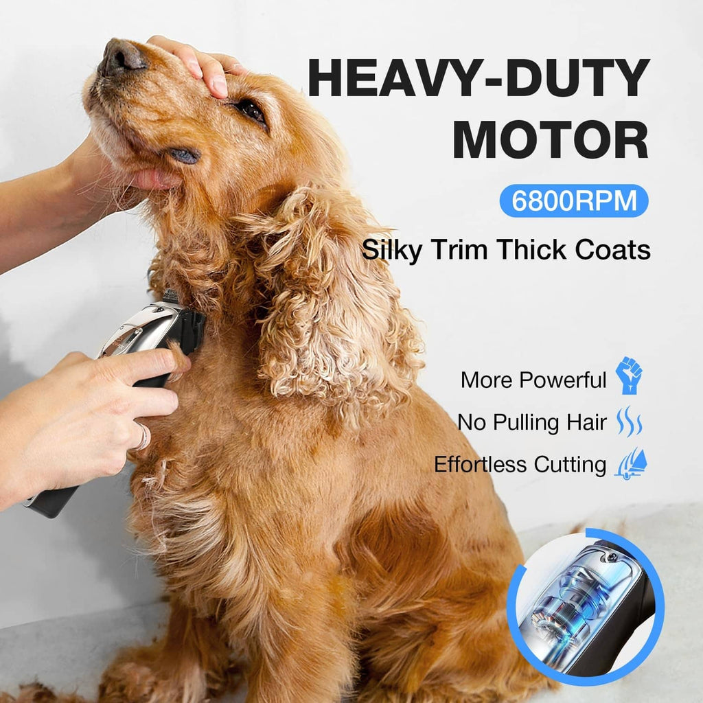 Dog grooming clipper trimming curly coat on a dog’s neck, silver and black.