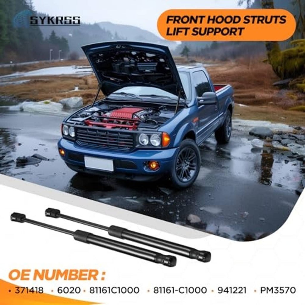Black hood lift struts with ball joints, two long shock support rods