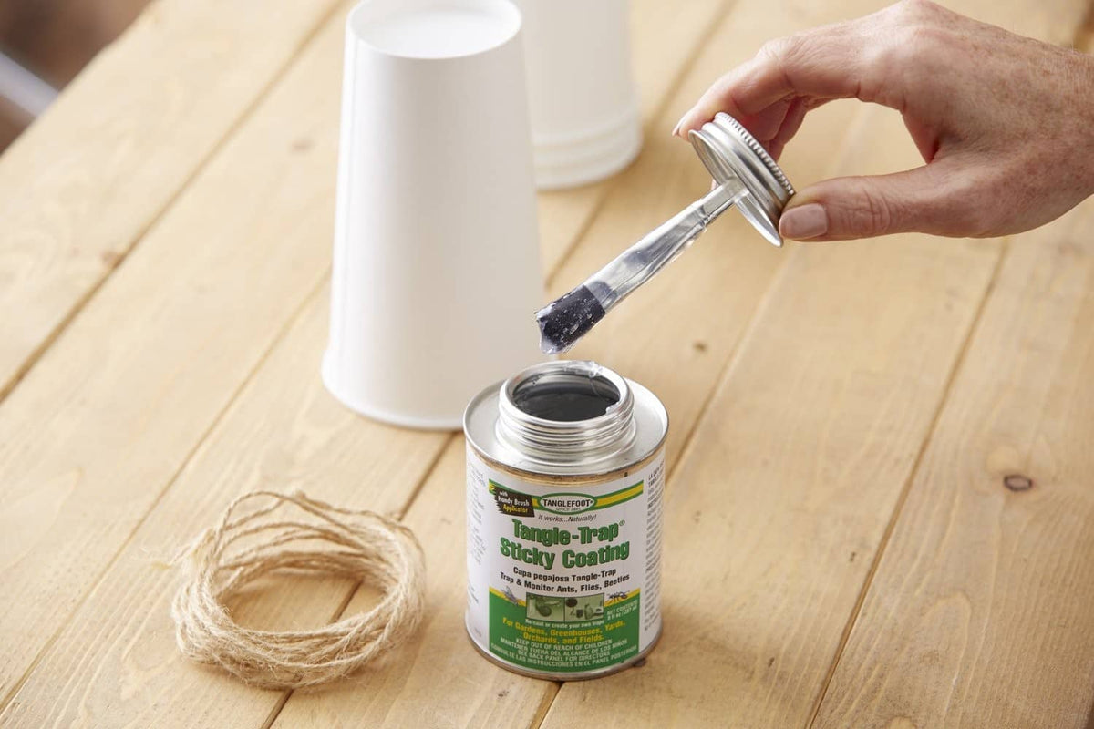Tangle-Trap sticky coating jar with brush and twine on a wooden tabletop.