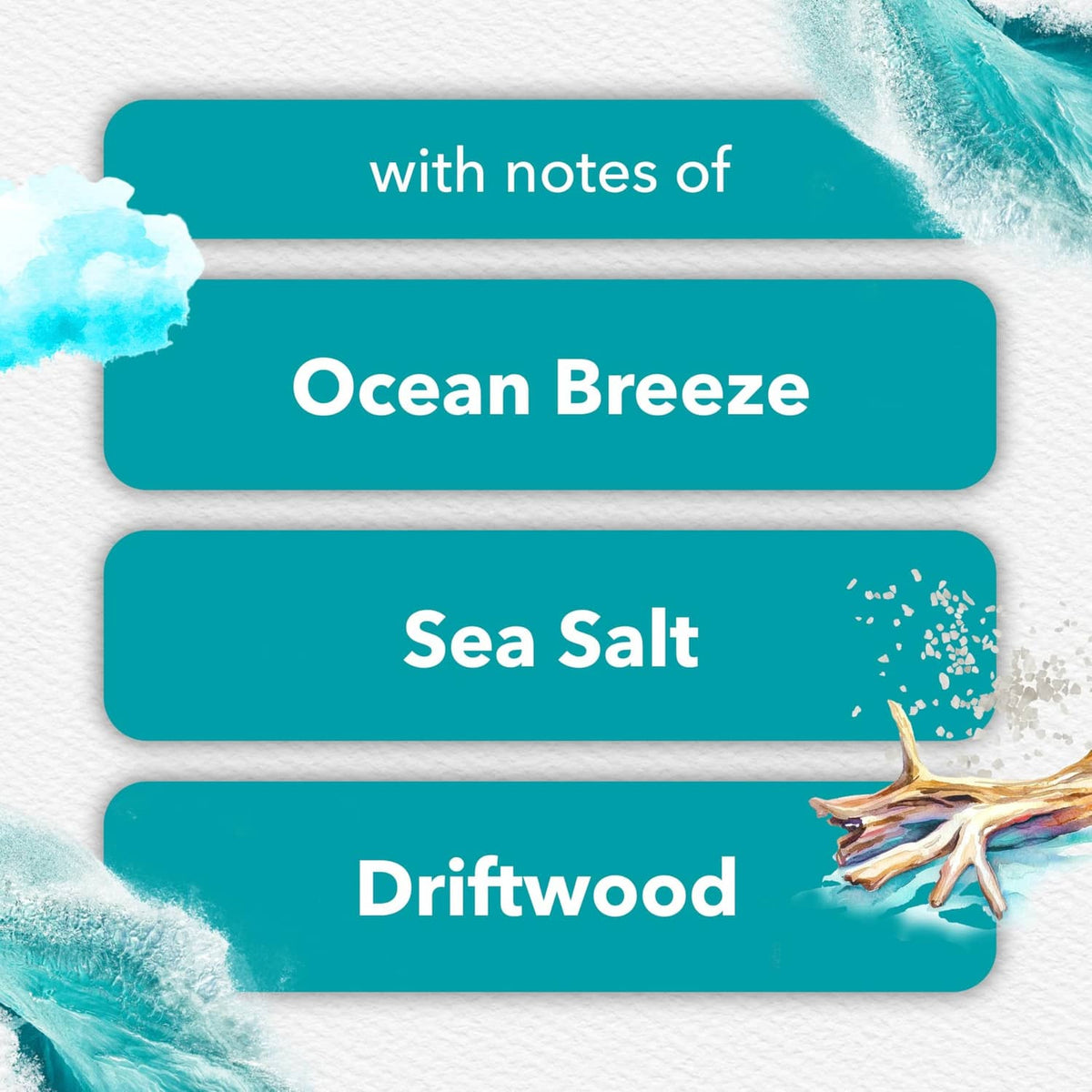Sky & Sea Salt scent notes card listing Ocean Breeze, Sea Salt, and Driftwood