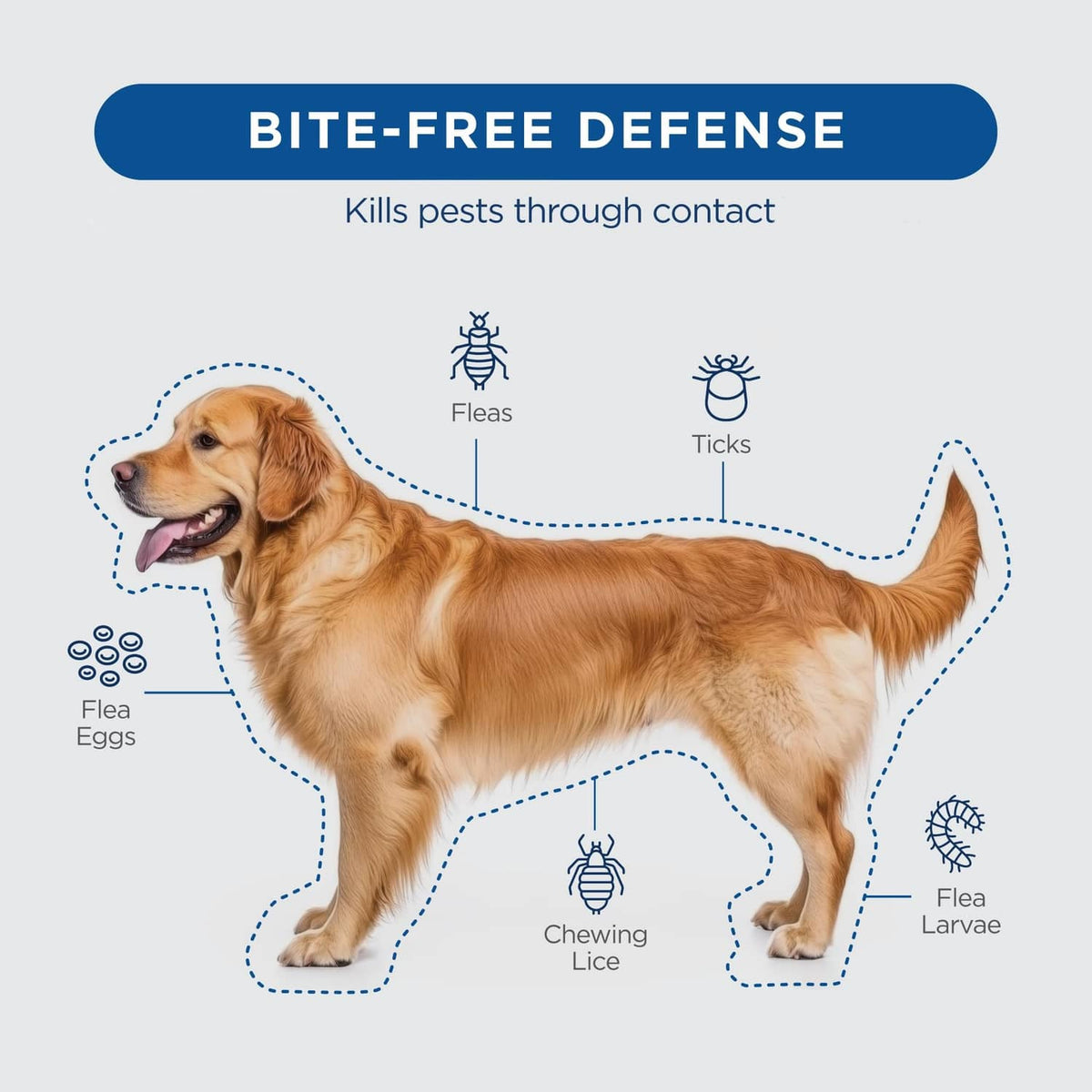Dog diagram labeled Bite-Free Defense with fleas, ticks, and flea larvae effects