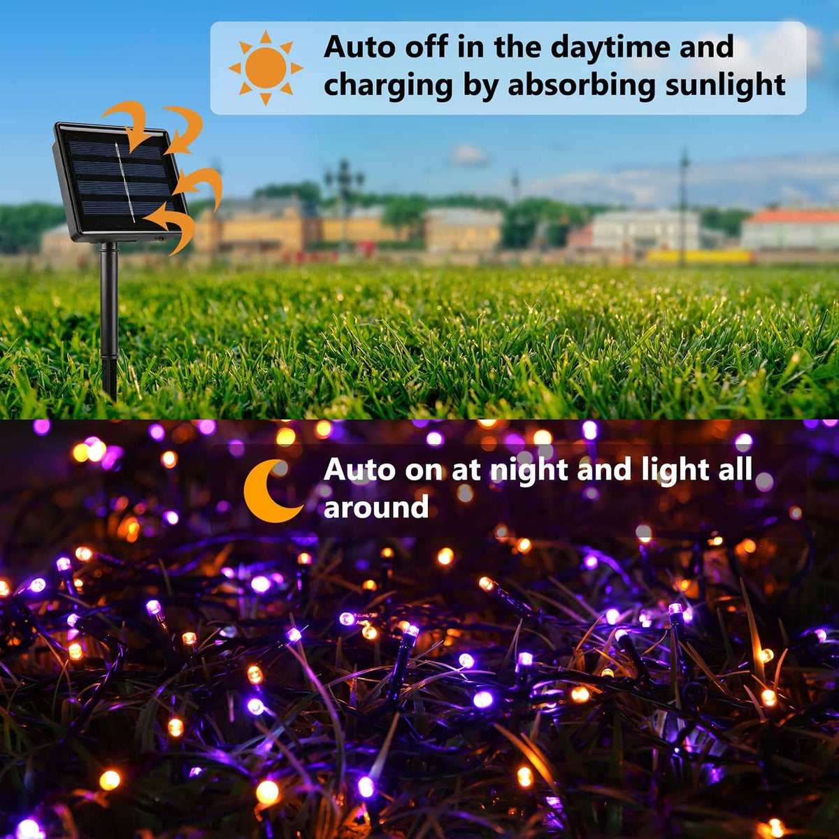 Solar LED string lights on stakes with purple and orange glowing bulbs on black wire