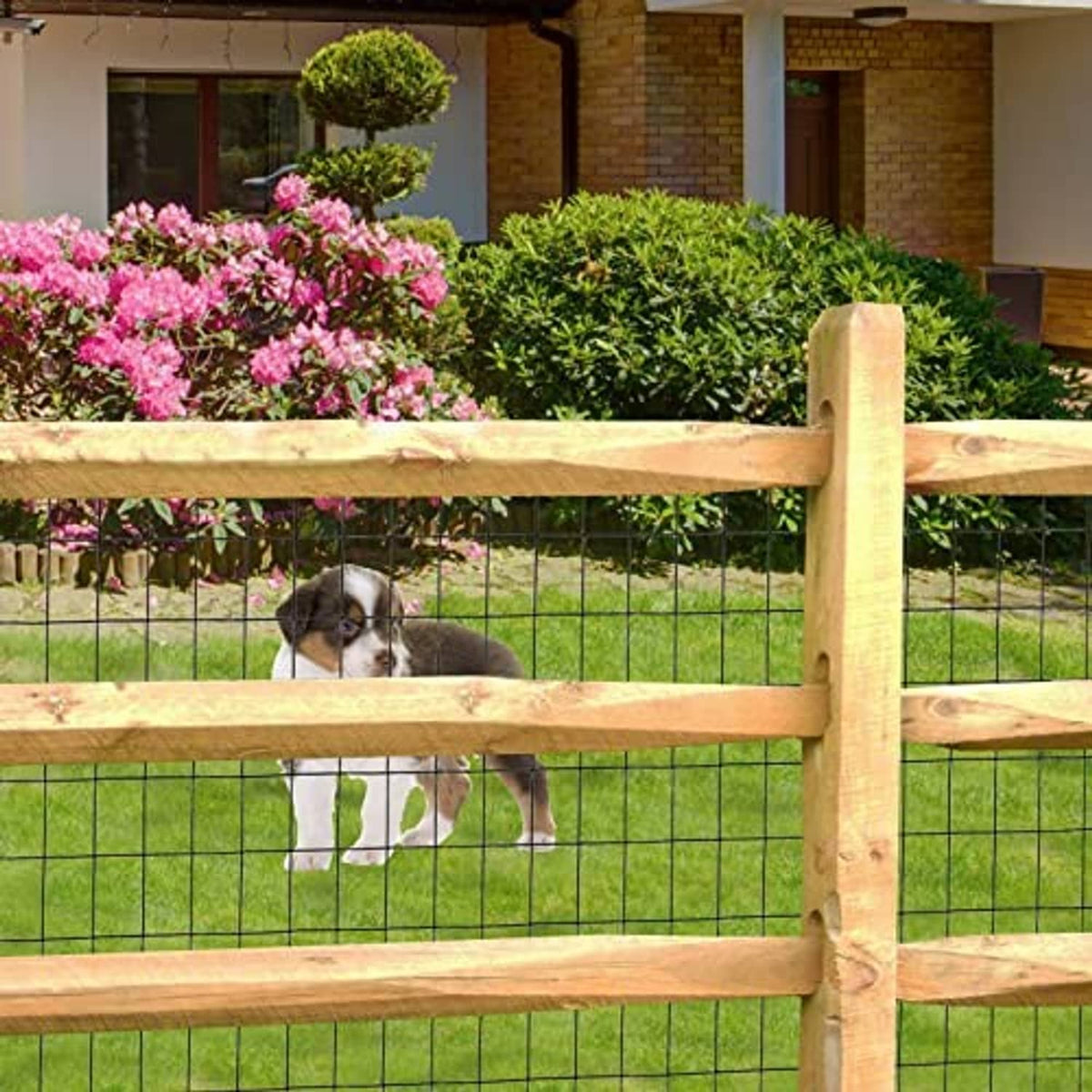 Black welded wire fence with 2 in x 3 in mesh between wooden rails