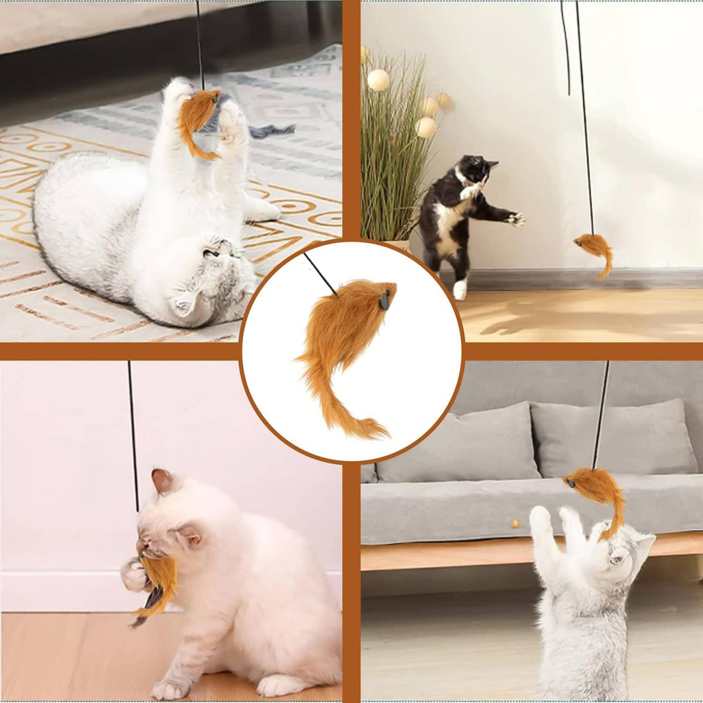 Multiple cats playing with hanging cat toy orange plush mouse under ceiling