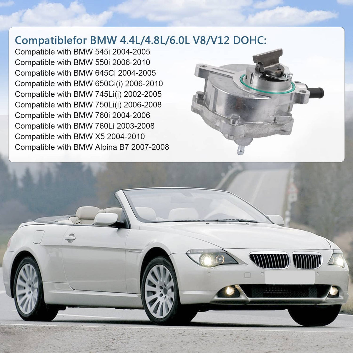 Brake vacuum pump with green seal and mounting flange
