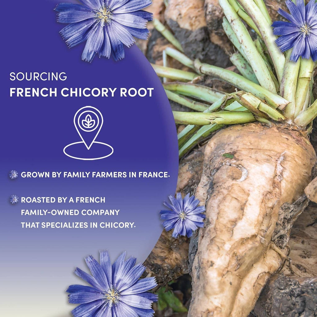 Chicory root sourcing graphic with blue flowers and root vegetables