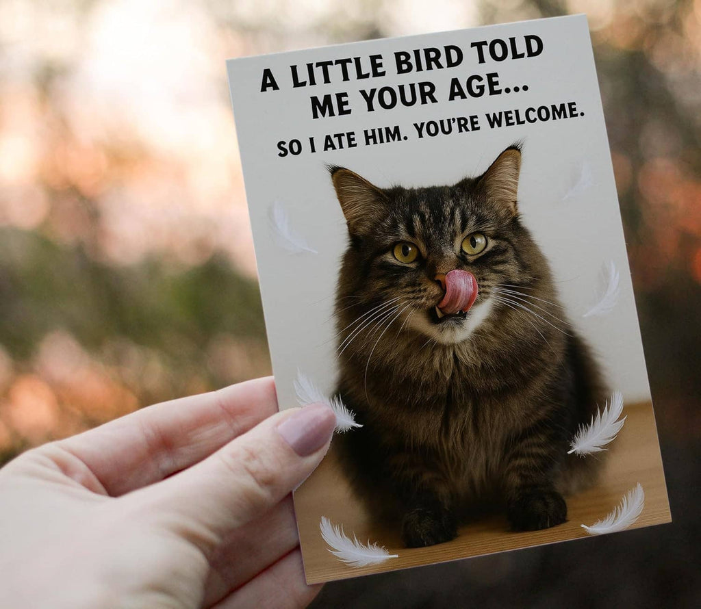 Funny birthday card held in hand, tabby cat and feather design on front
