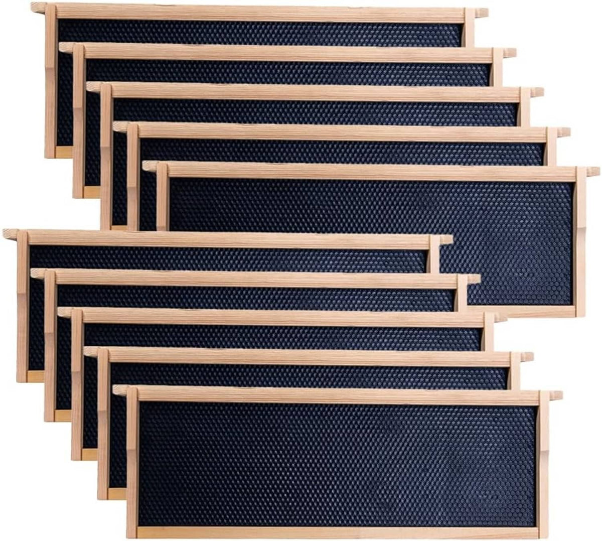 Front view of medium beehive frames, 10-pack, light wood with dark honeycomb inserts