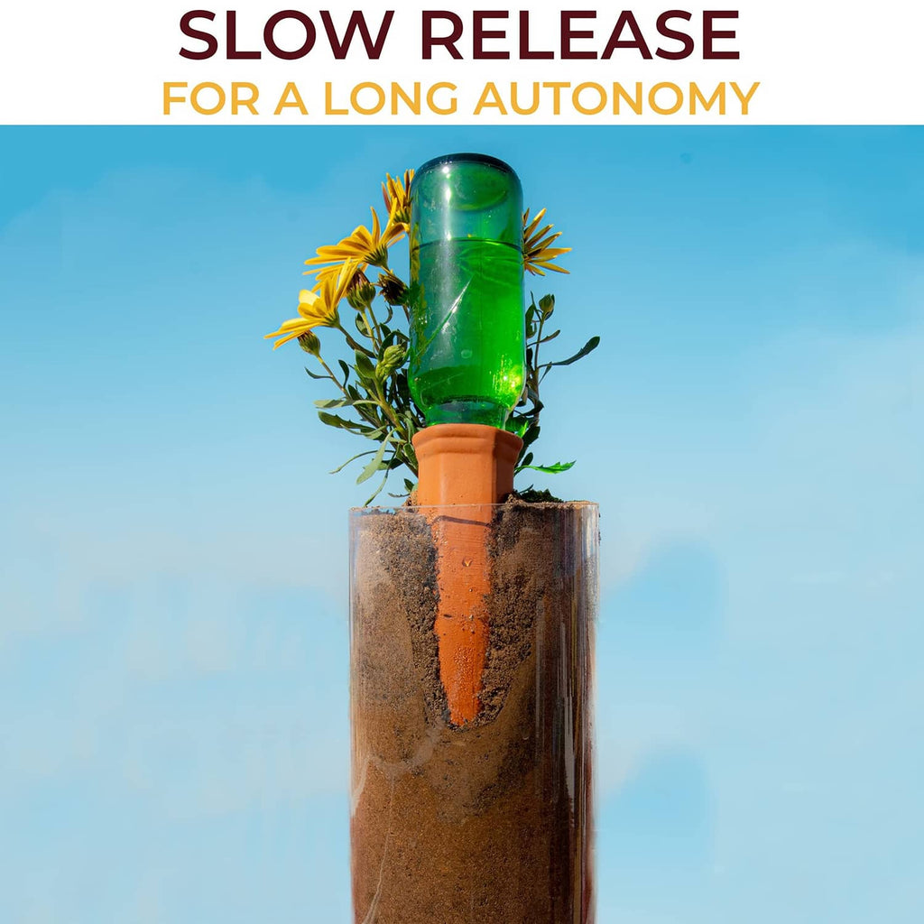 Single self-watering spike with green bottle inserted into soil in terra-cotta